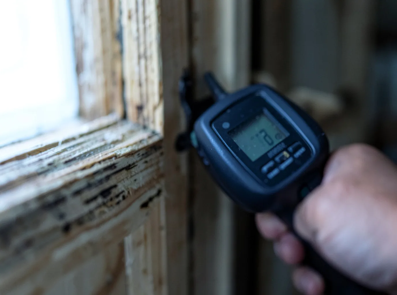 Moisture Inspection And Documentation in Nederland, CO